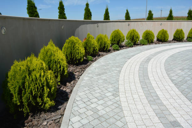 Best Driveway Pavers Cost  in Quitman, MS